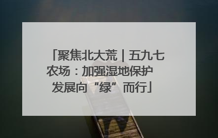 聚焦北大荒｜五九七农场：加强湿地保护 发展向“绿”而行
