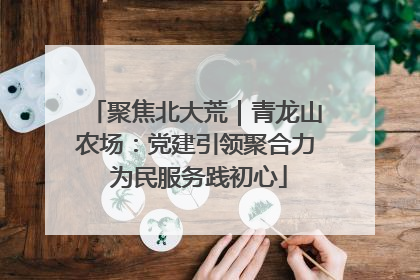 聚焦北大荒｜青龙山农场：党建引领聚合力 为民服务践初心