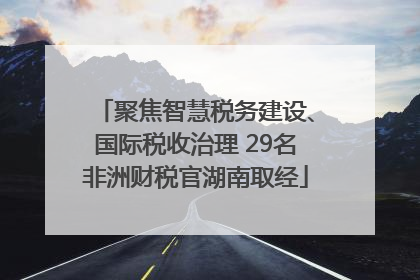 聚焦智慧税务建设、国际税收治理 29名非洲财税官湖南取经