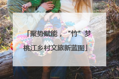 聚势赋能，“竹”梦桃江乡村文旅新蓝图