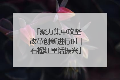 聚力集中攻坚·改革创新进行时｜石榴红里话振兴