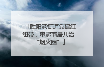 胜阳港街道党建红纽带，串起商居共治 “烟火圈”