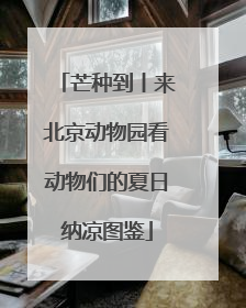 芒种到丨来北京动物园看动物们的夏日纳凉图鉴