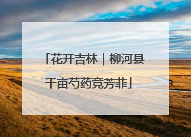 花开吉林｜柳河县千亩芍药竞芳菲