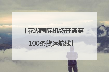 花湖国际机场开通第100条货运航线