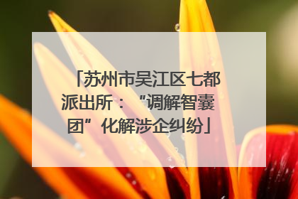 苏州市吴江区七都派出所：“调解智囊团”化解涉企纠纷