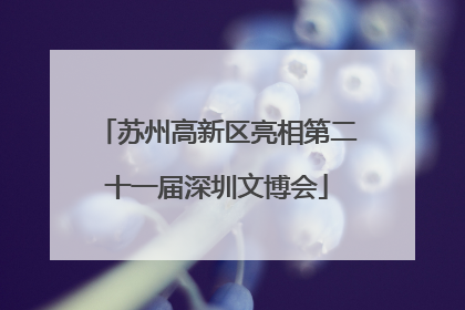 苏州高新区亮相第二十一届深圳文博会
