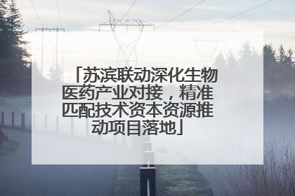 苏滨联动深化生物医药产业对接，精准匹配技术资本资源推动项目落地