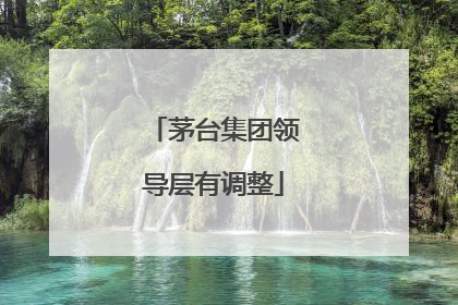 茅台集团领导层有调整