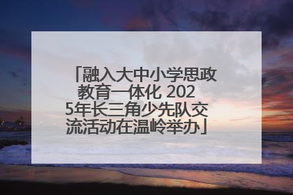 融入大中小学思政教育一体化 2025年长三角少先队交流活动在温岭举办