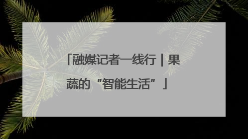 融媒记者一线行｜果蔬的“智能生活”