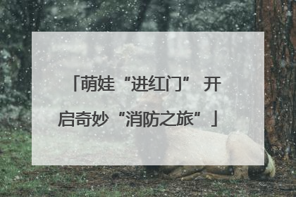 萌娃“进红门” 开启奇妙“消防之旅”