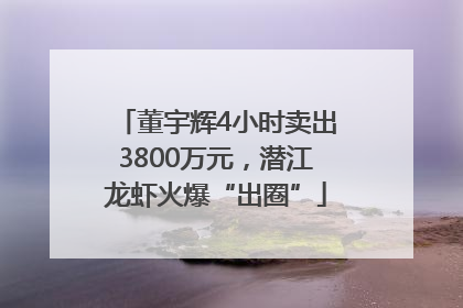 董宇辉4小时卖出3800万元，潜江龙虾火爆“出圈”