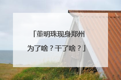 董明珠现身郑州 为了啥？干了啥？