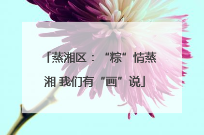 蒸湘区：“粽”情蒸湘 我们有“画”说