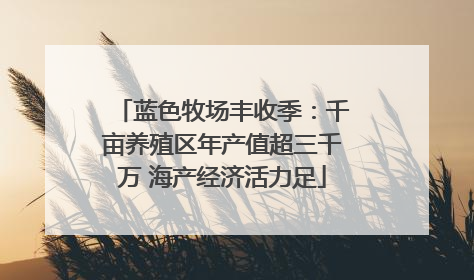蓝色牧场丰收季：千亩养殖区年产值超三千万 海产经济活力足