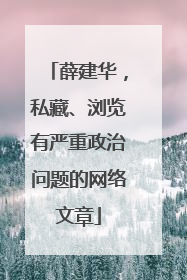 薛建华，私藏、浏览有严重政治问题的网络文章