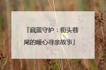 藏蓝守护：街头巷尾的暖心寻亲故事
