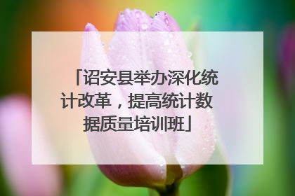 诏安县举办深化统计改革，提高统计数据质量培训班