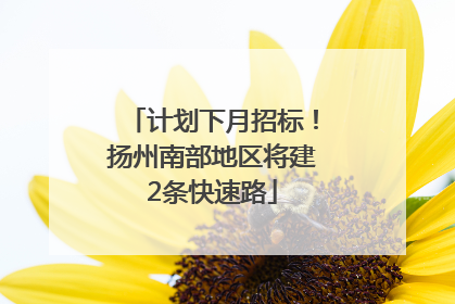 计划下月招标！扬州南部地区将建2条快速路