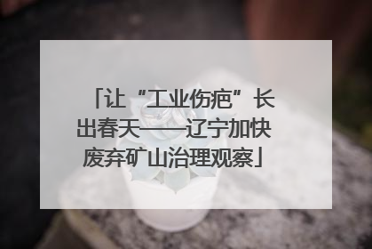 让“工业伤疤”长出春天——辽宁加快废弃矿山治理观察