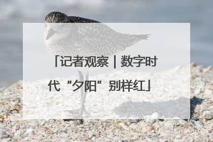 记者观察｜数字时代“夕阳”别样红
