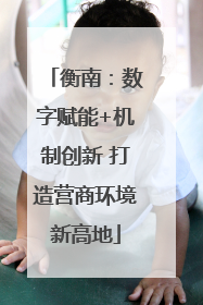 衡南：数字赋能+机制创新 打造营商环境新高地