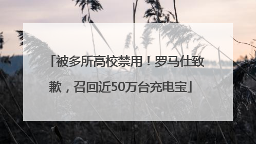被多所高校禁用！罗马仕致歉，召回近50万台充电宝