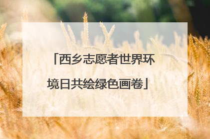 西乡志愿者世界环境日共绘绿色画卷
