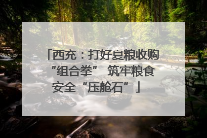 西充：打好夏粮收购“组合拳” 筑牢粮食安全“压舱石”