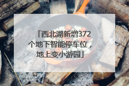 西北湖新增372个地下智能停车位，地上变小游园