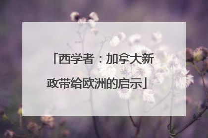 西学者：加拿大新政带给欧洲的启示