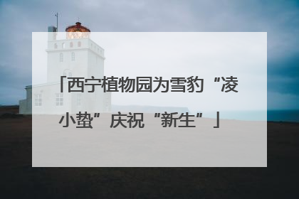 西宁植物园为雪豹“凌小蛰”庆祝“新生”
