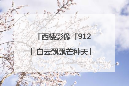 西楼影像「912」白云飘飘芒种天