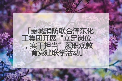 襄城消防联合泽东化工集团开展“立足岗位，实干担当”履职观教育党建联学活动