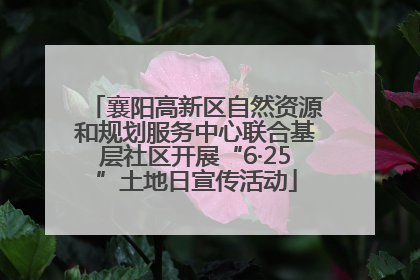 襄阳高新区自然资源和规划服务中心联合基层社区开展“6·25”土地日宣传活动