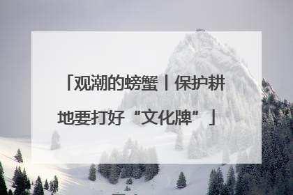 观潮的螃蟹丨保护耕地要打好“文化牌”