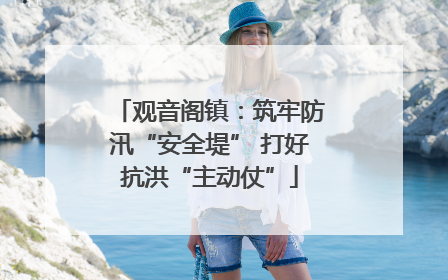 观音阁镇：筑牢防汛“安全堤” 打好抗洪“主动仗”