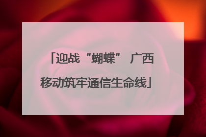 迎战“蝴蝶” 广西移动筑牢通信生命线
