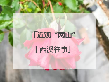 近观“两山”丨西溪往事