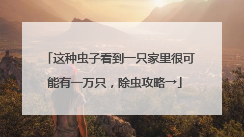 这种虫子看到一只家里很可能有一万只，除虫攻略→