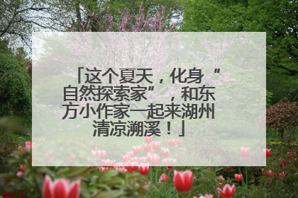 这个夏天，化身“自然探索家”，和东方小作家一起来湖州清凉溯溪！