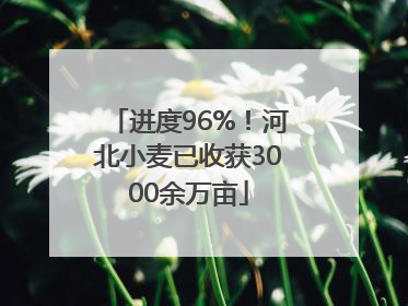 进度96%！河北小麦已收获3000余万亩