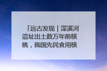 远古发现｜濛溪河遗址出土数万年前核桃，我国先民食用核桃历史大幅提前