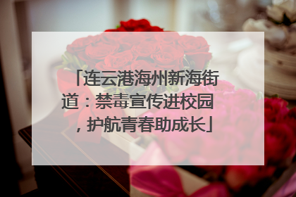 连云港海州新海街道：禁毒宣传进校园，护航青春助成长