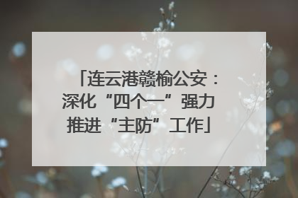 连云港赣榆公安：深化“四个一”强力推进“主防”工作