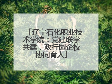 辽宁石化职业技术学院：党建联学共建，政行园企校协同育人