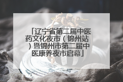 辽宁省第二届中医药文化夜市（锦州站）暨锦州市第二届中医康养夜市启幕