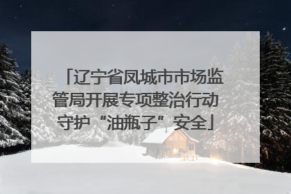 辽宁省凤城市市场监管局开展专项整治行动守护“油瓶子”安全