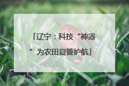 辽宁：科技“神器”为农田夏管护航
